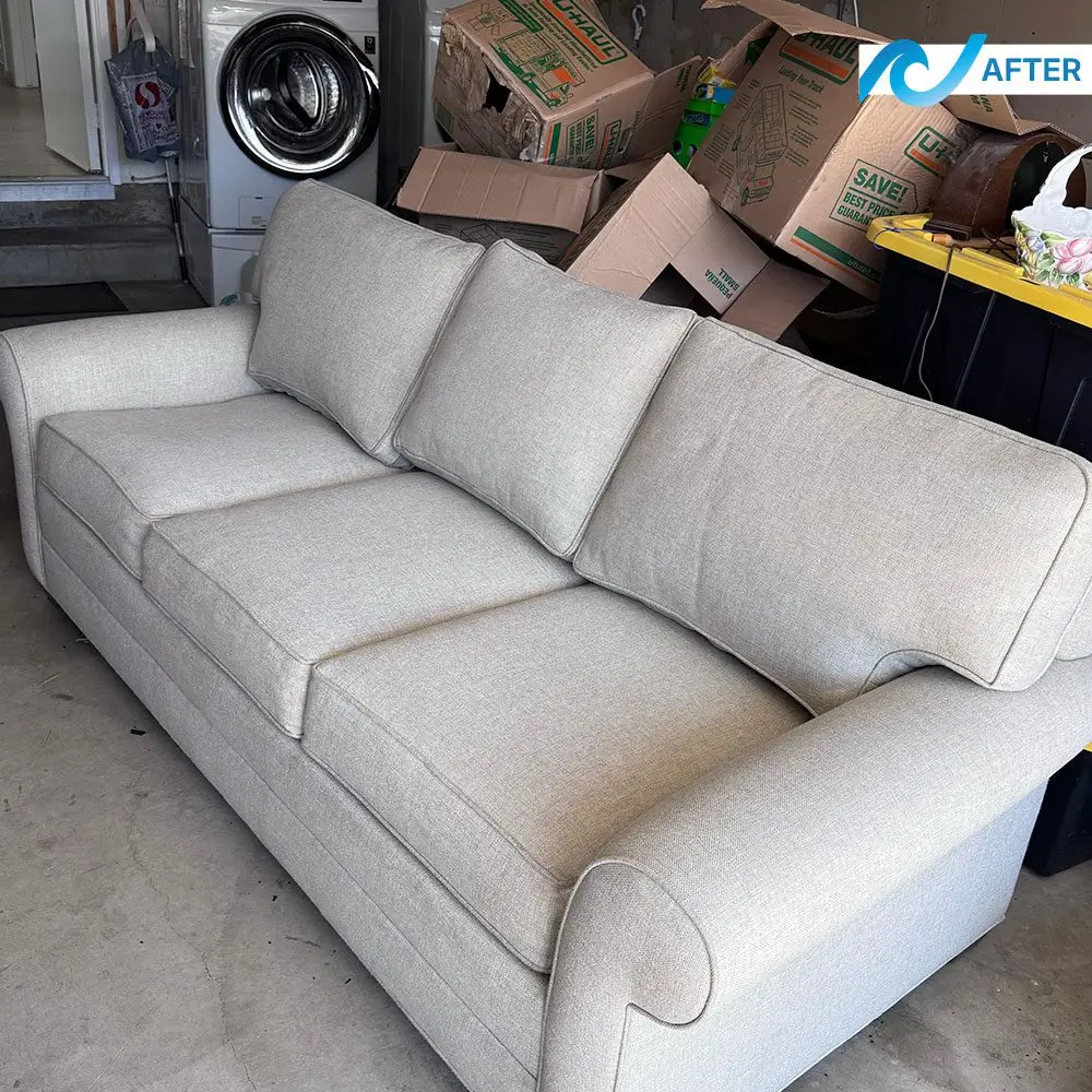 Couch after professional upholstery cleaning