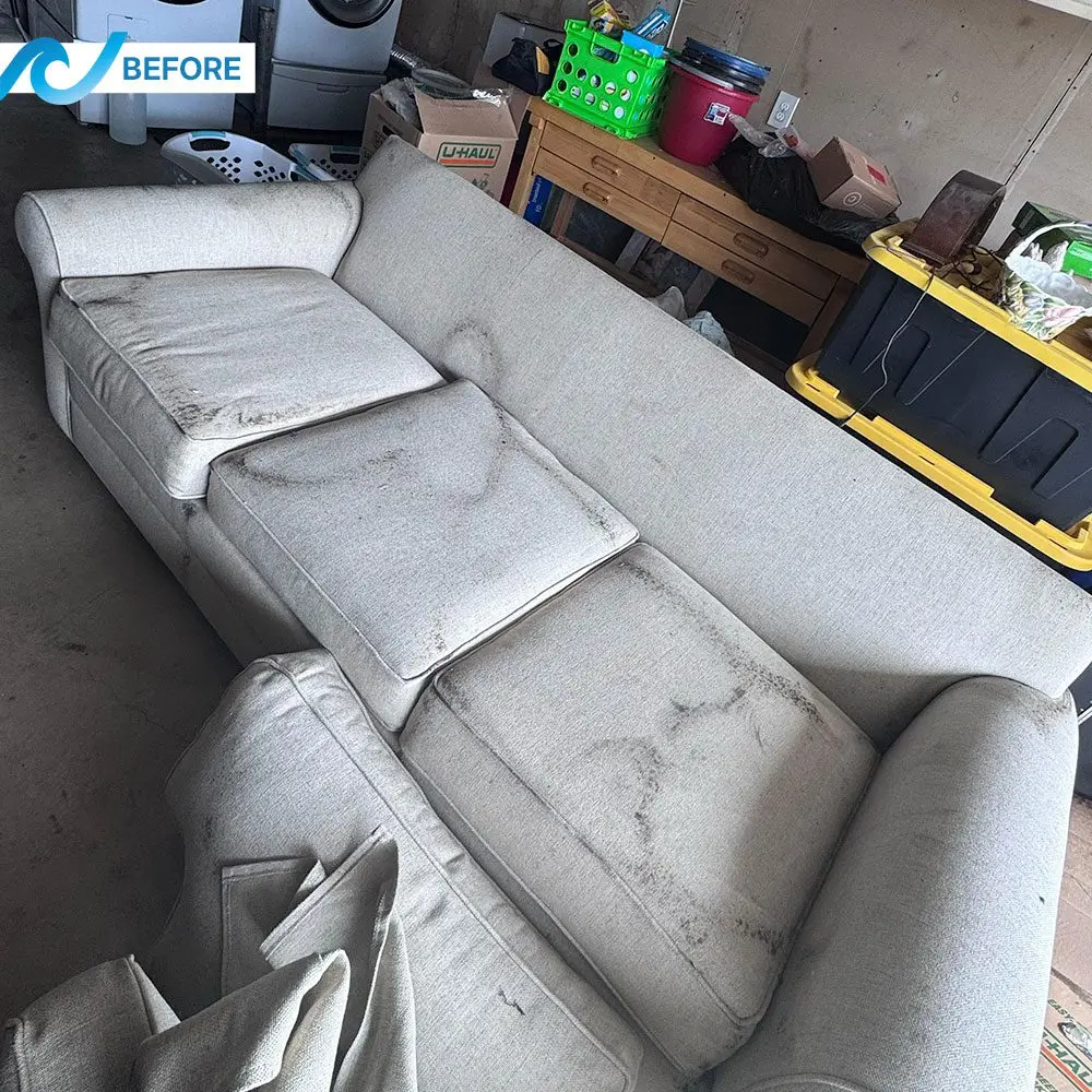 Couch before cleaning