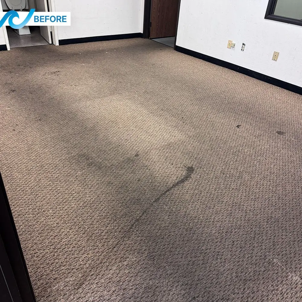 Carpet before cleaning, stained and dirty