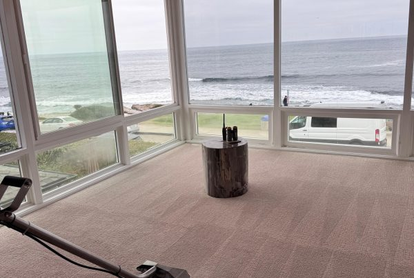 Professional Carpet Cleaning in San Diego: How CleanWave Works