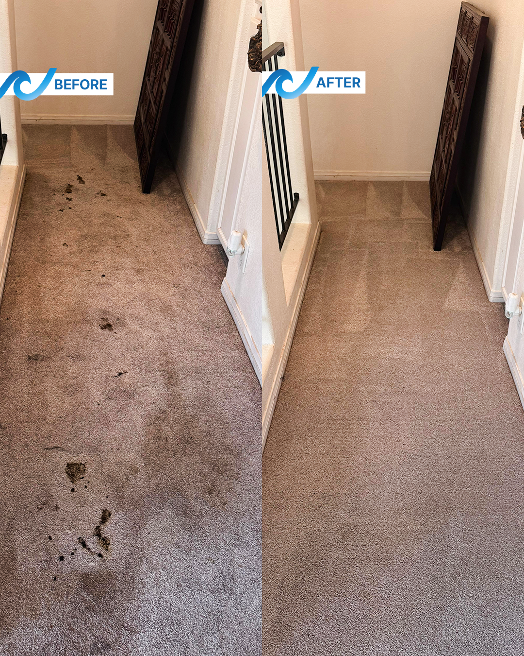 Before and after carpet cleaning at home with pets performed by CleanWave