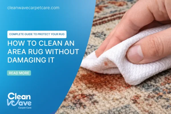 How to clean an area rug without damaging it: a complete guide to protect fibers, colors, and structure