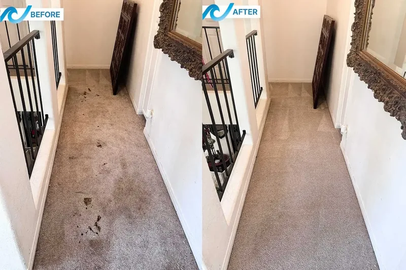 Carpet cleaning San Diego
