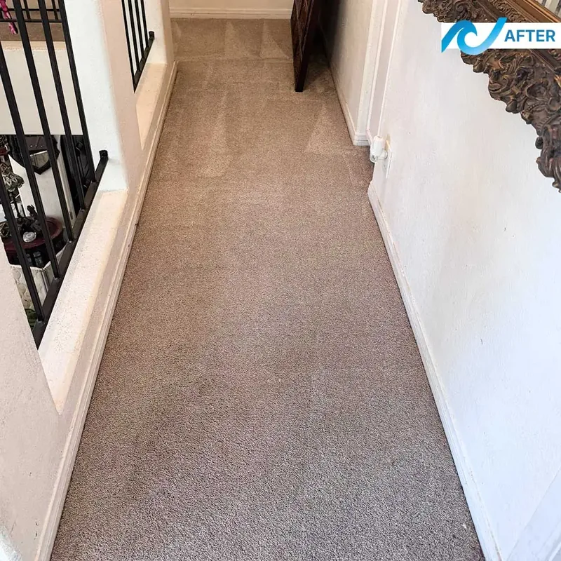 Carpet after professional cleaning, San Diego