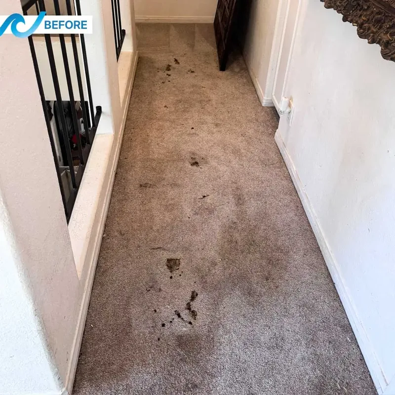 Carpet before cleaning, stained and dirty