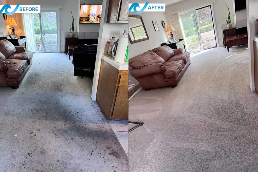 Deep carpet cleaning showcase - San Diego
