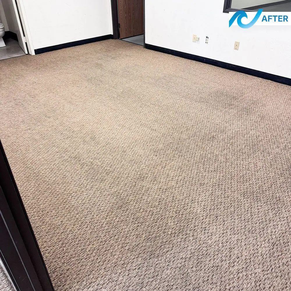 Commercial carpet after professional deep cleaning