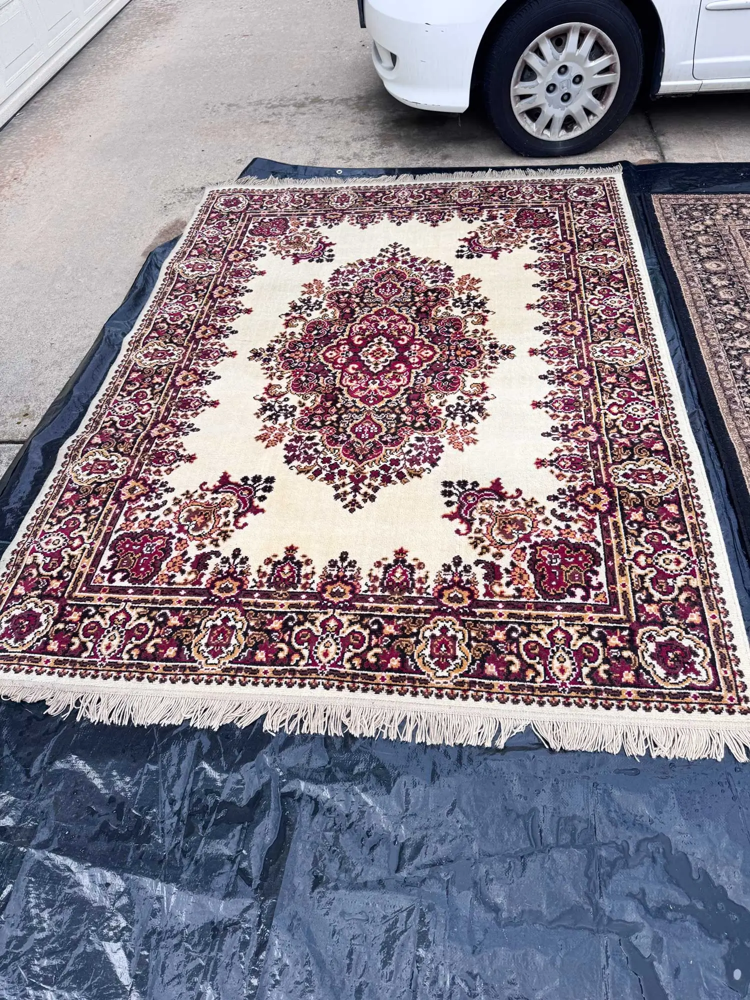 Rug cleaning result San Diego 3