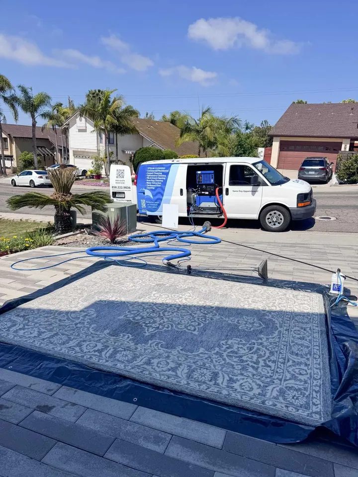 Rug cleaning San Diego