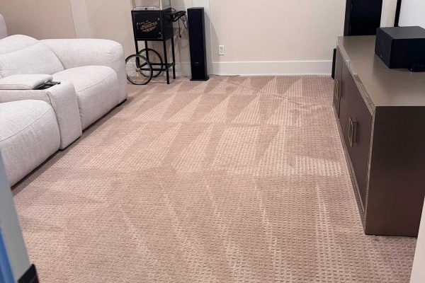 carpet3