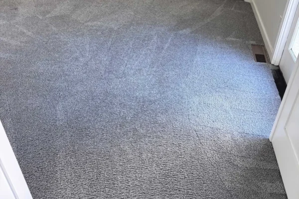 carpet_cleaning_best_cleaners